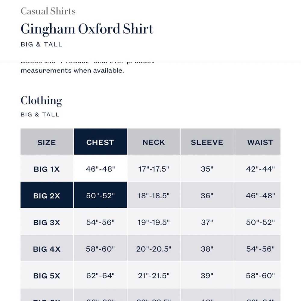 Ralph Lauren Gingham Oxford Shirt - Picture 4 of 4